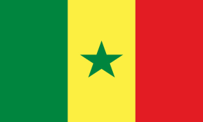 senegal Personalized bike stickers with your name and flag