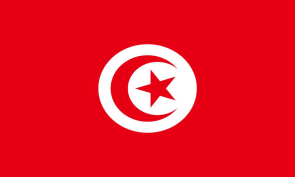 tunisia Personalized bike stickers with your name and flag